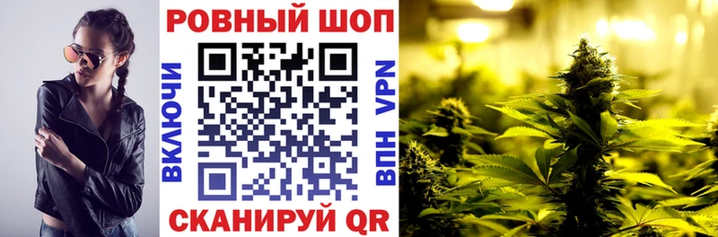 Где продают наркотики Шарья COCAIN  ГАШ  Конопля 