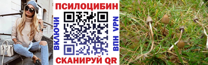 Псилоцибиновые грибы ЛСД  наркошоп  Шарья 